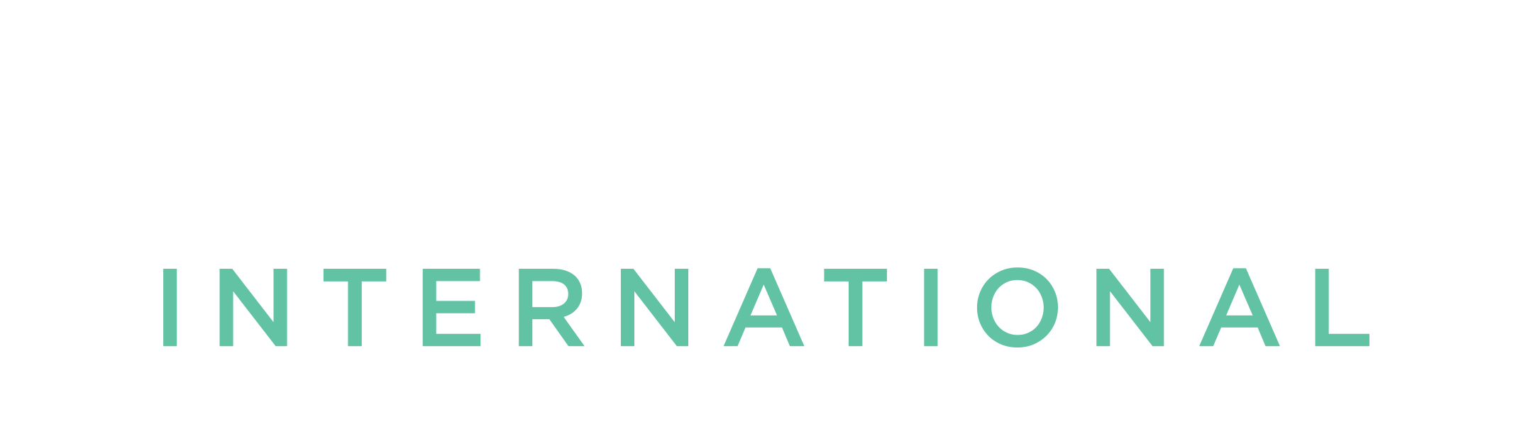 Stravens International